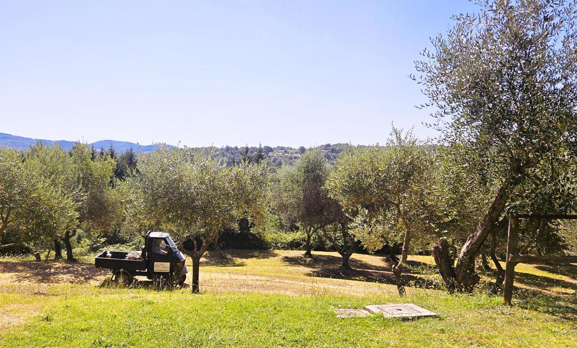 Pian Della Bandina Appartement Città della Pieve Buitenkant foto
